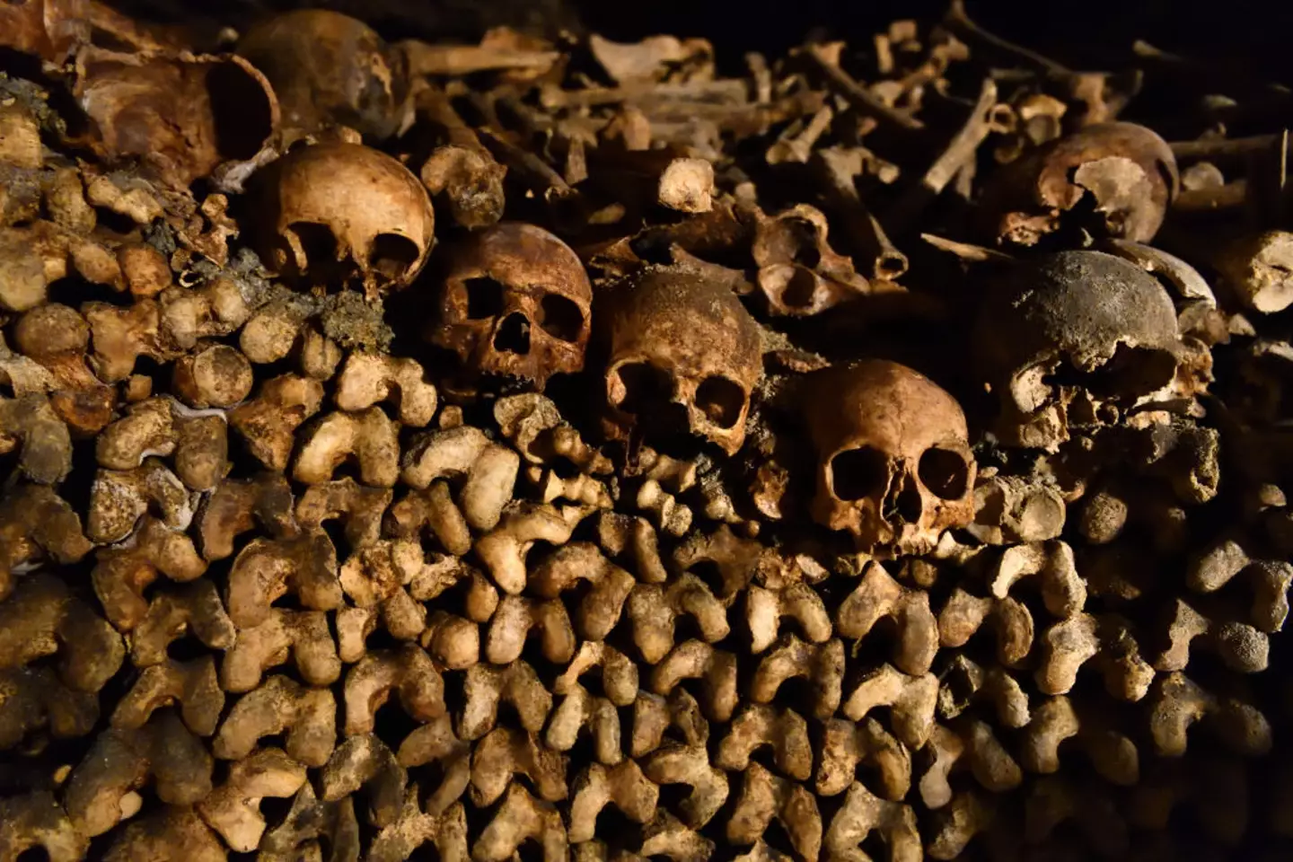 The Paris Catacombs were opened after the city's cemeteries became overcrowded in the 1700s.