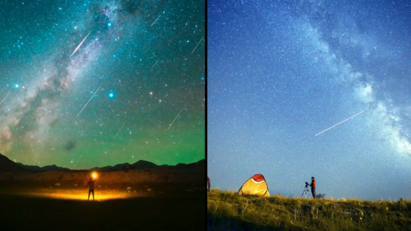 Perseid meteor shower is set to light up the night’s sky next week with 100 meteors every hour