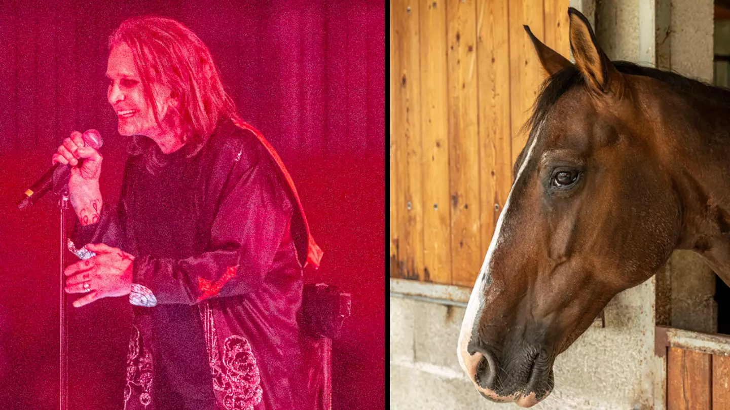 Ozzy Osbourne vowed to never take LSD again after 'a horse told him to f*** off'