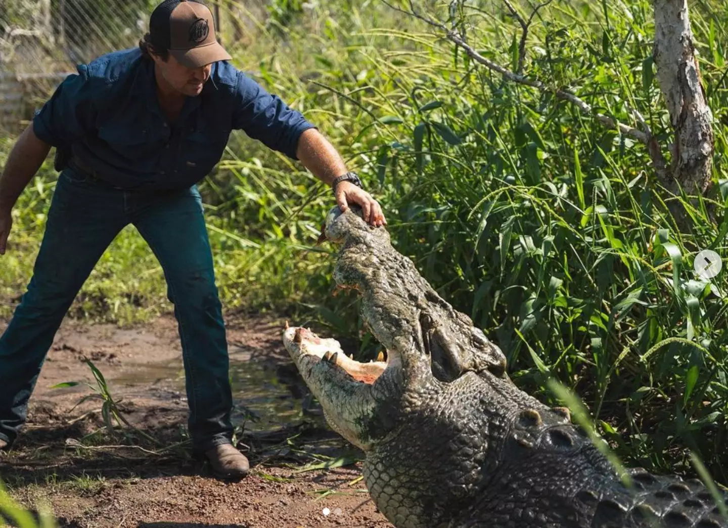Matt Wright has been dubbed as the 'new Steve Irwin' after his new series dropped on Netflix.