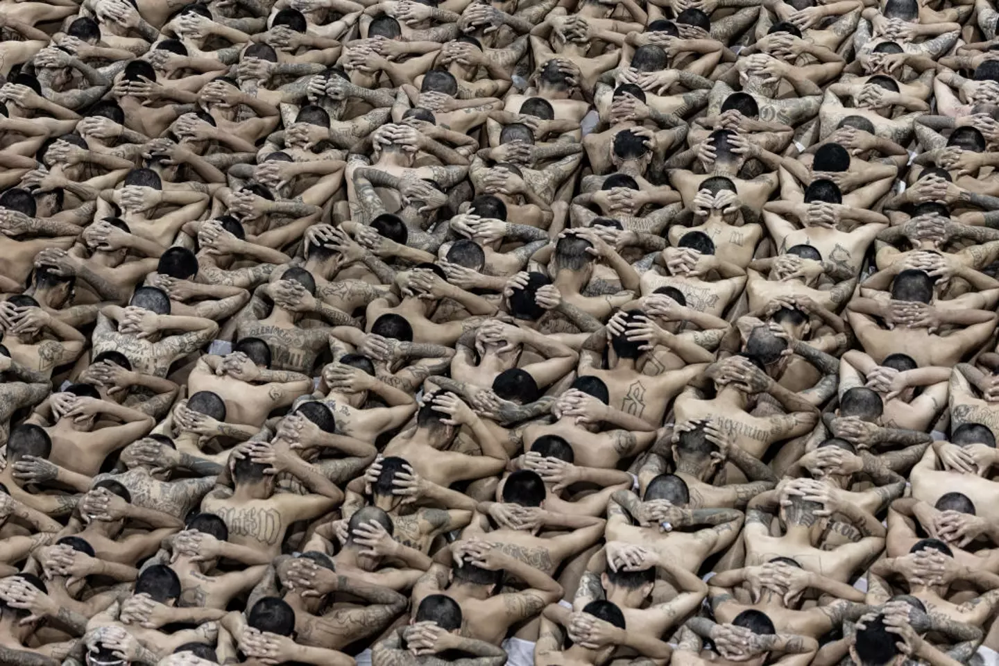 The inmates are monitored 24/7 (Handout/Presidencia El Salvador via Getty Images)