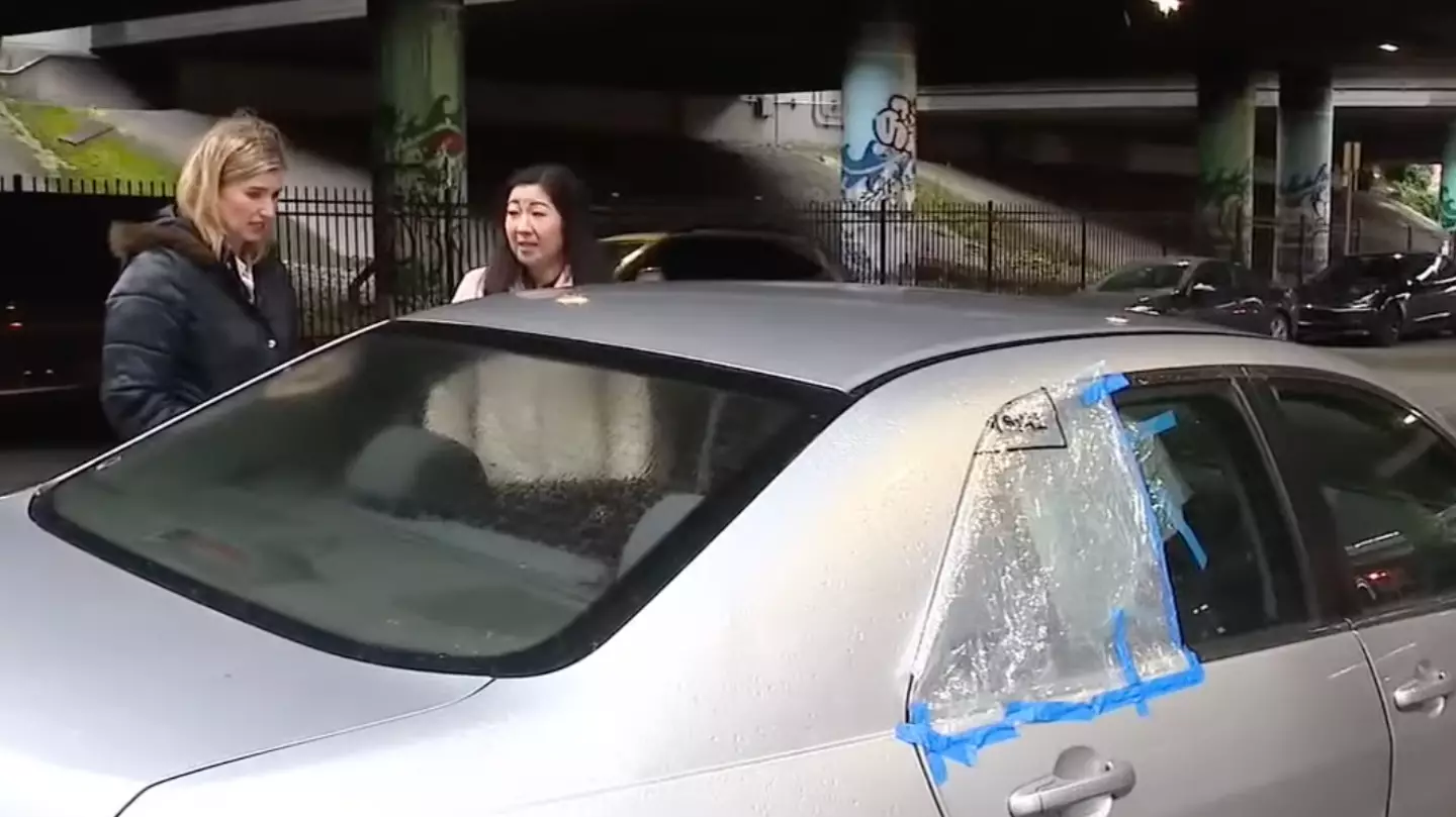 Woman finds stranger asleep in the back of her car and his reaction when she demanded he get out leaves her speechless