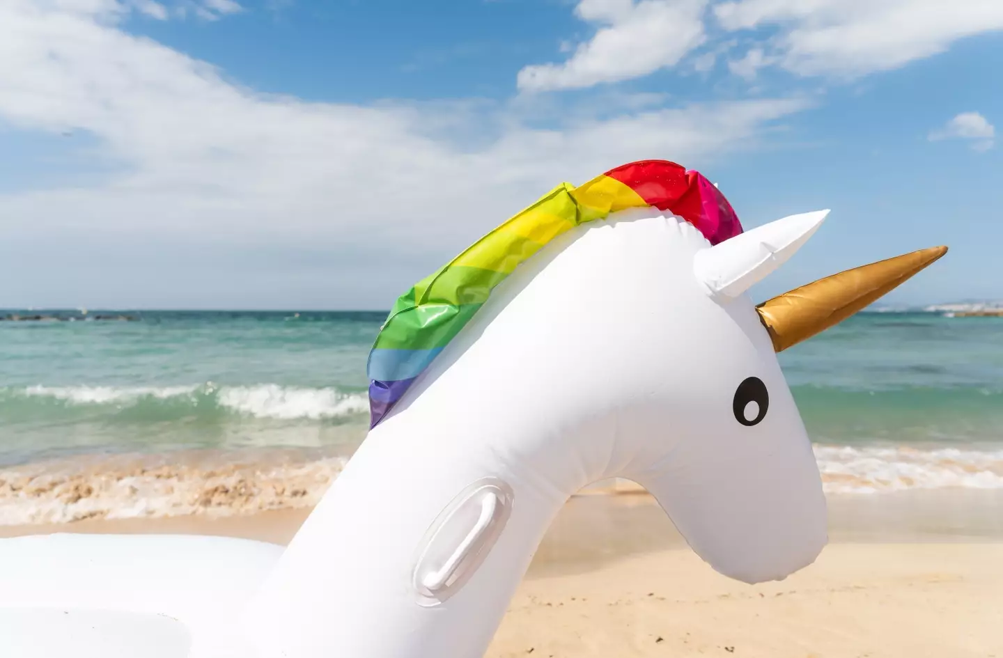 Ever heard of a unicorn? (Getty Stock Photo)