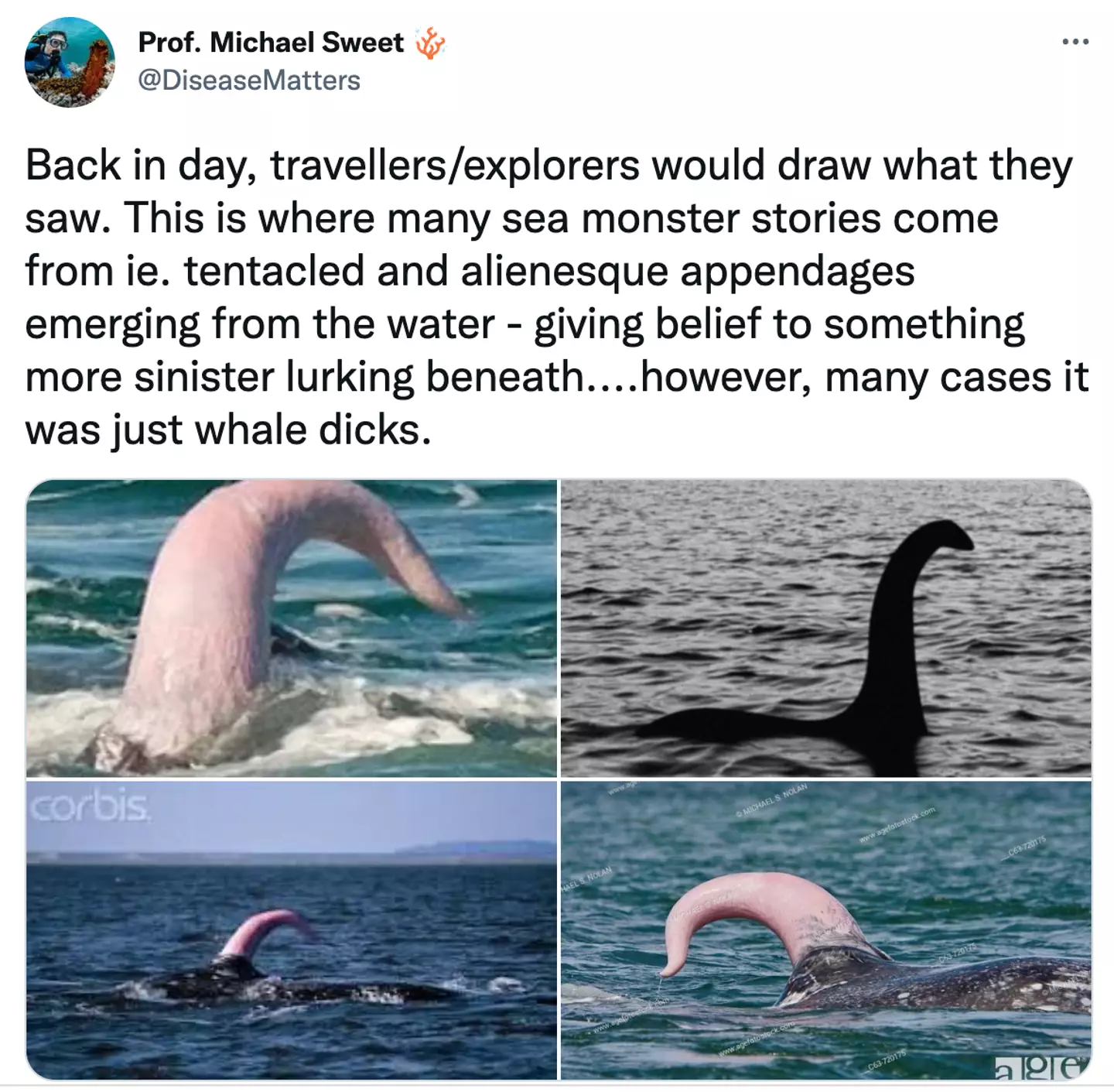 Sweet shared the eye-opening revelation online.