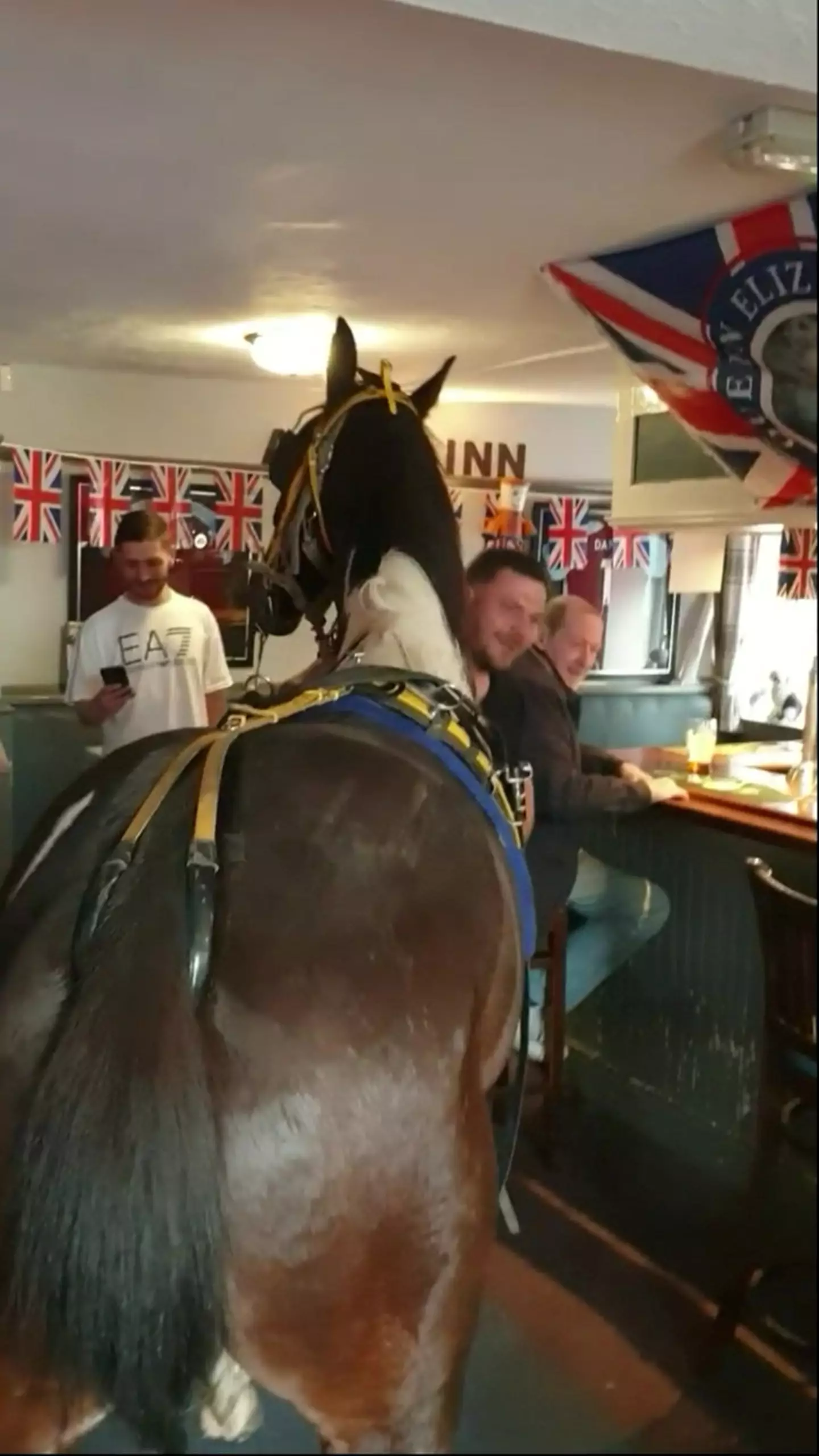 "Not every day you see a horse come into a pub!"