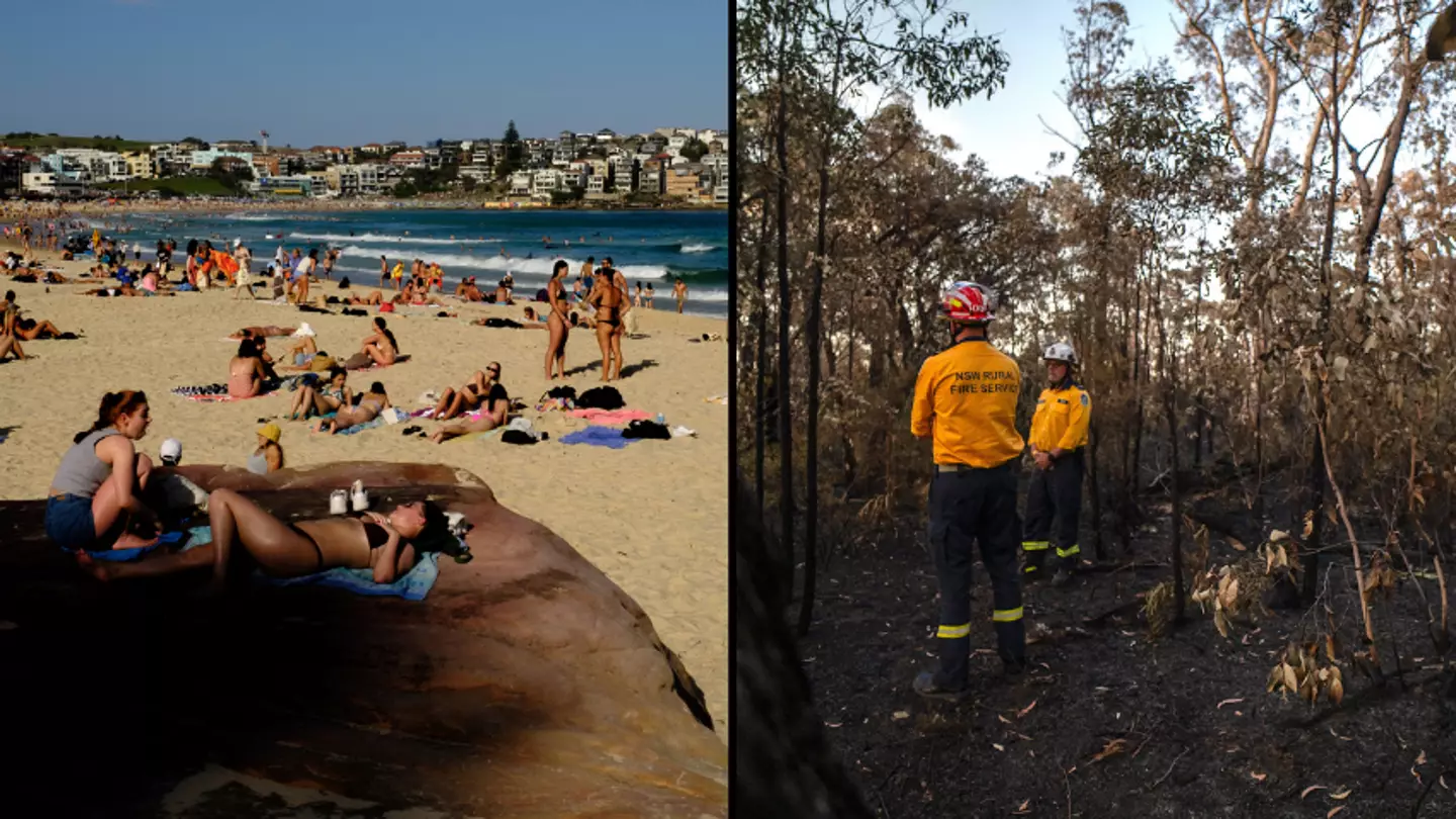 Sydney records hottest day for October 1 as bushfires rip through the state