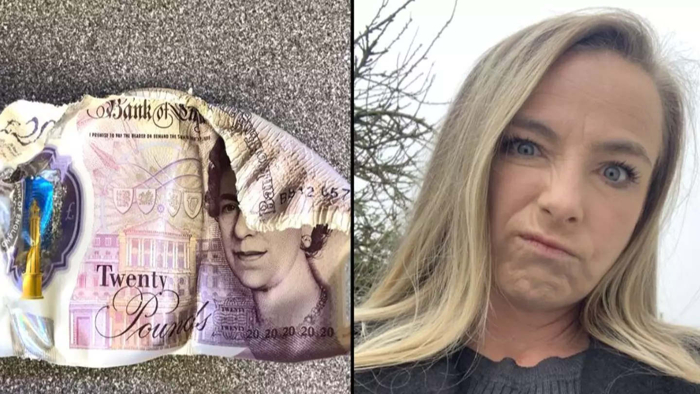 Mum accidentally slow cooked money for weeks after putting £350 in her cooker
