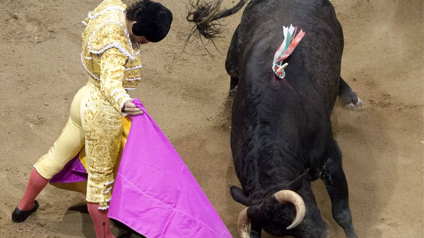 Chilling final words of matador gored to death by a bull after tripping over his own cape