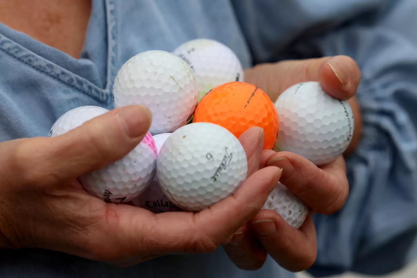 These have become very troublesome to residents in the Allerton estate (Newcastle Chronicle)