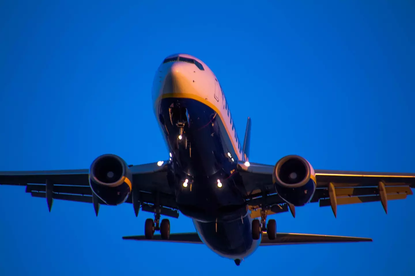 A Ryanair aircraft.