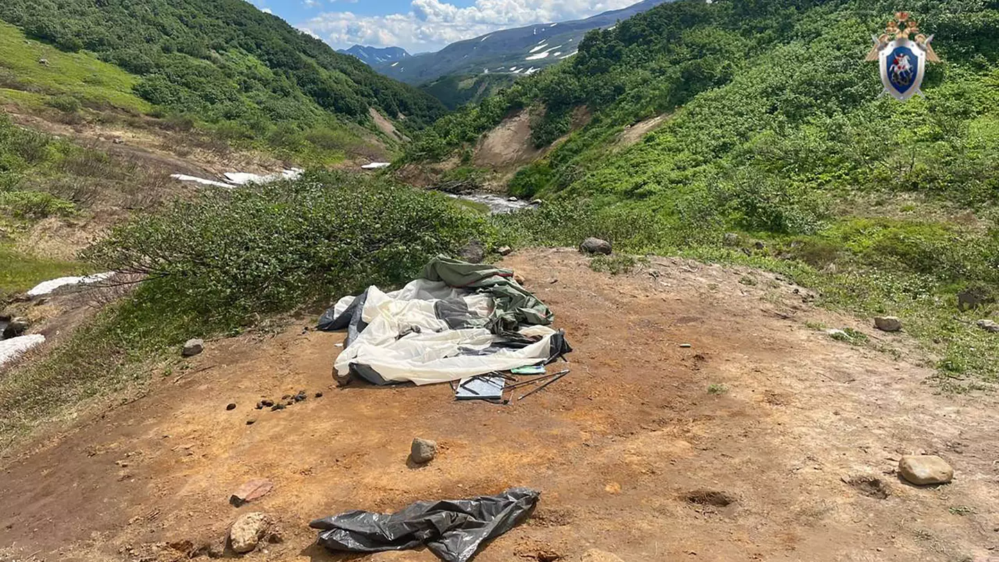 Tourist fighting for life after being dragged from tent and attacked by bear in night on tour
