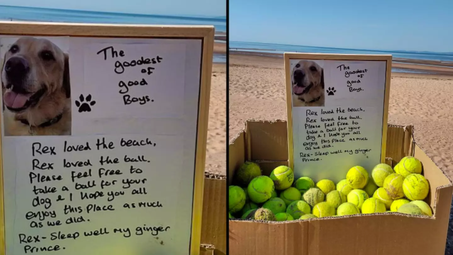Free tennis balls get left on beach to honour the 'goodest of good boys'