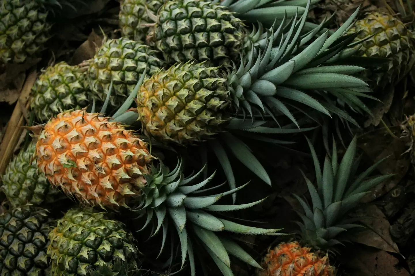 Pineapples hold all sorts of meaning.
