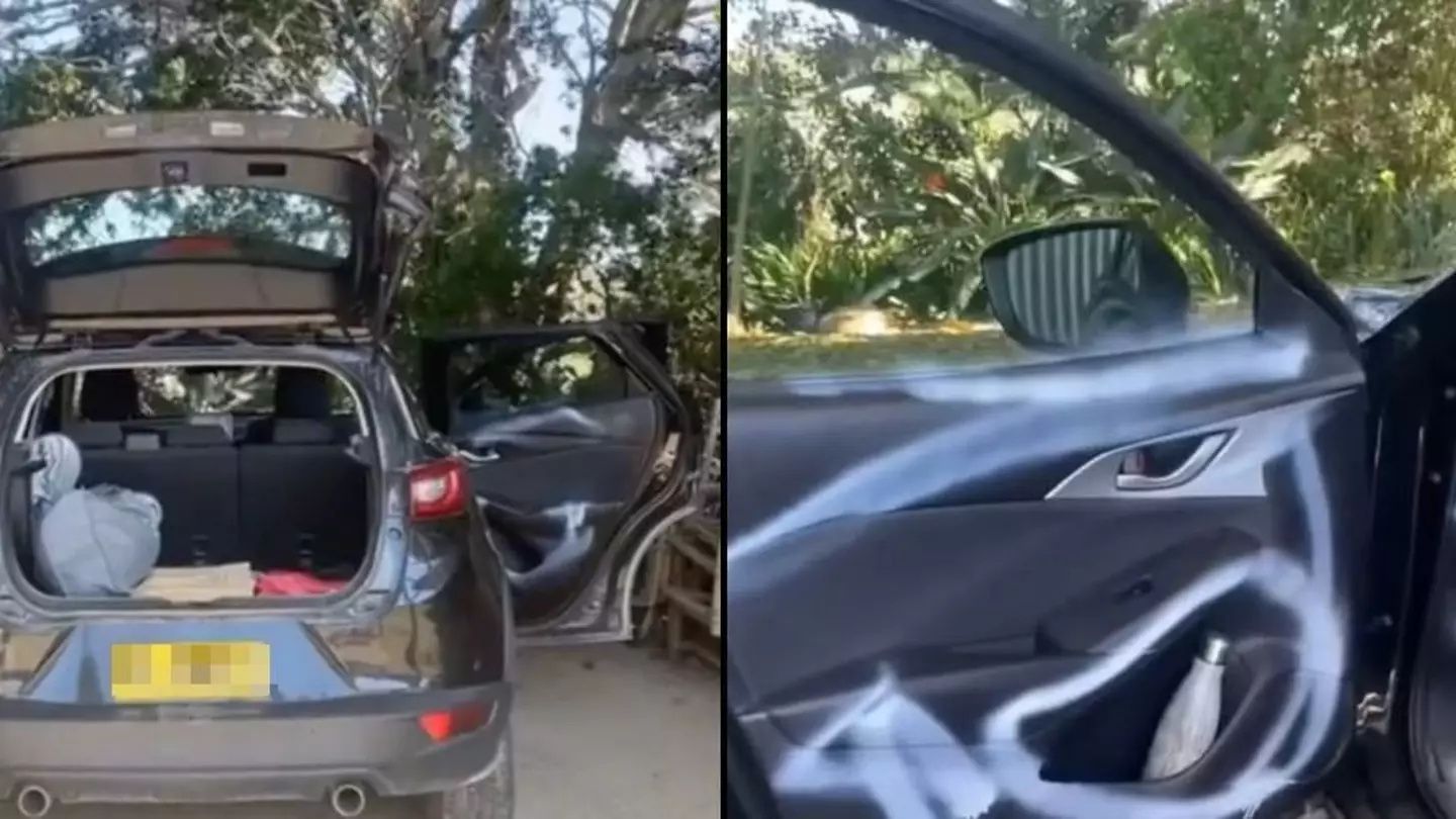 Mum 'ruins' car after accidentally using wrong product to clean entire vehicle