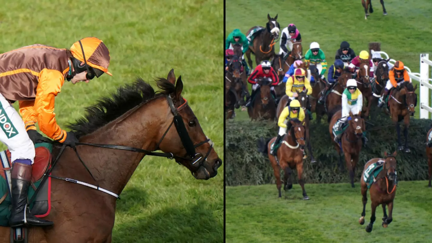 Calls For Grand National To End After Only 15 Horses Finish And Two Die