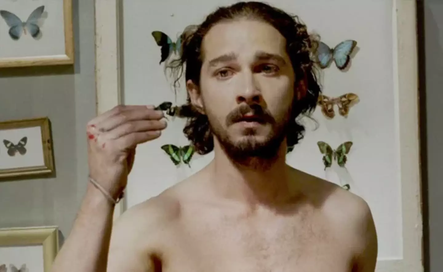 Shia LaBeouf in Nymphomaniac.