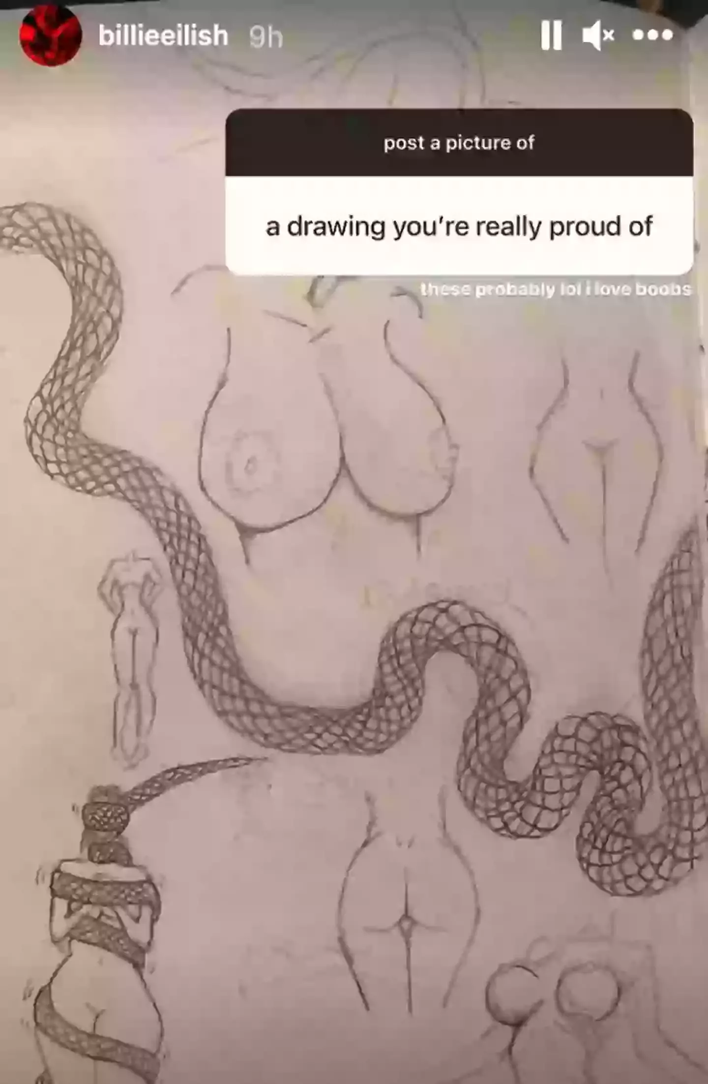 Billie simply shared her drawings. (Instagram/billieeilish)
