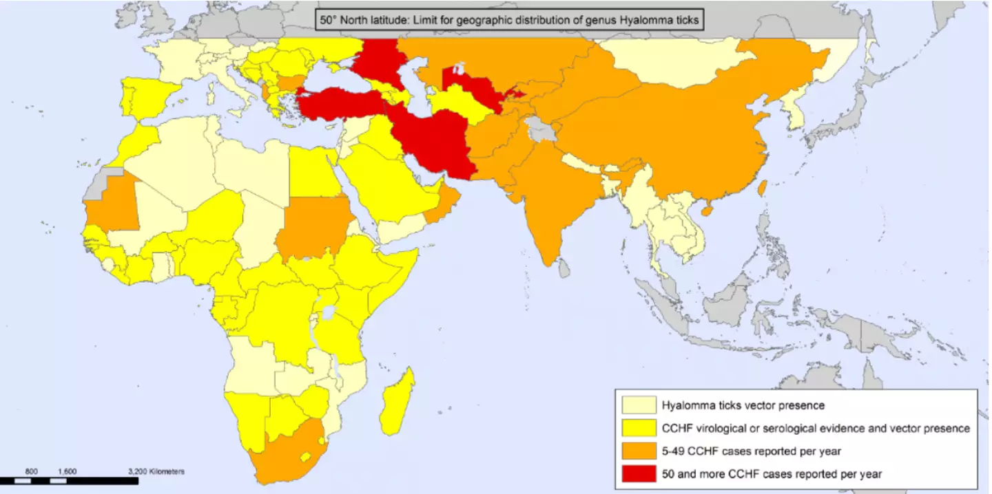A map showing the distribution of CCHF infections.