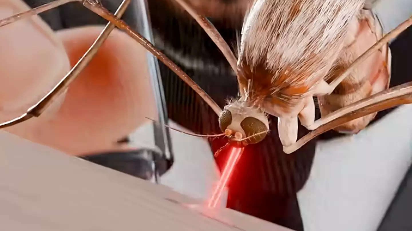 Horrifying simulation shows how doctor let mosquito kill him to eventually prove they carried disease