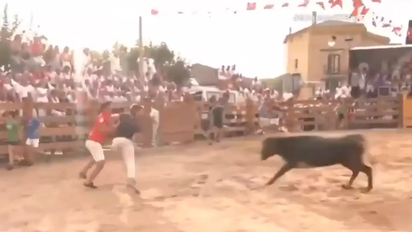 Shocking video shows moment reporter on live TV is dragged into bullfight and attacked by animal