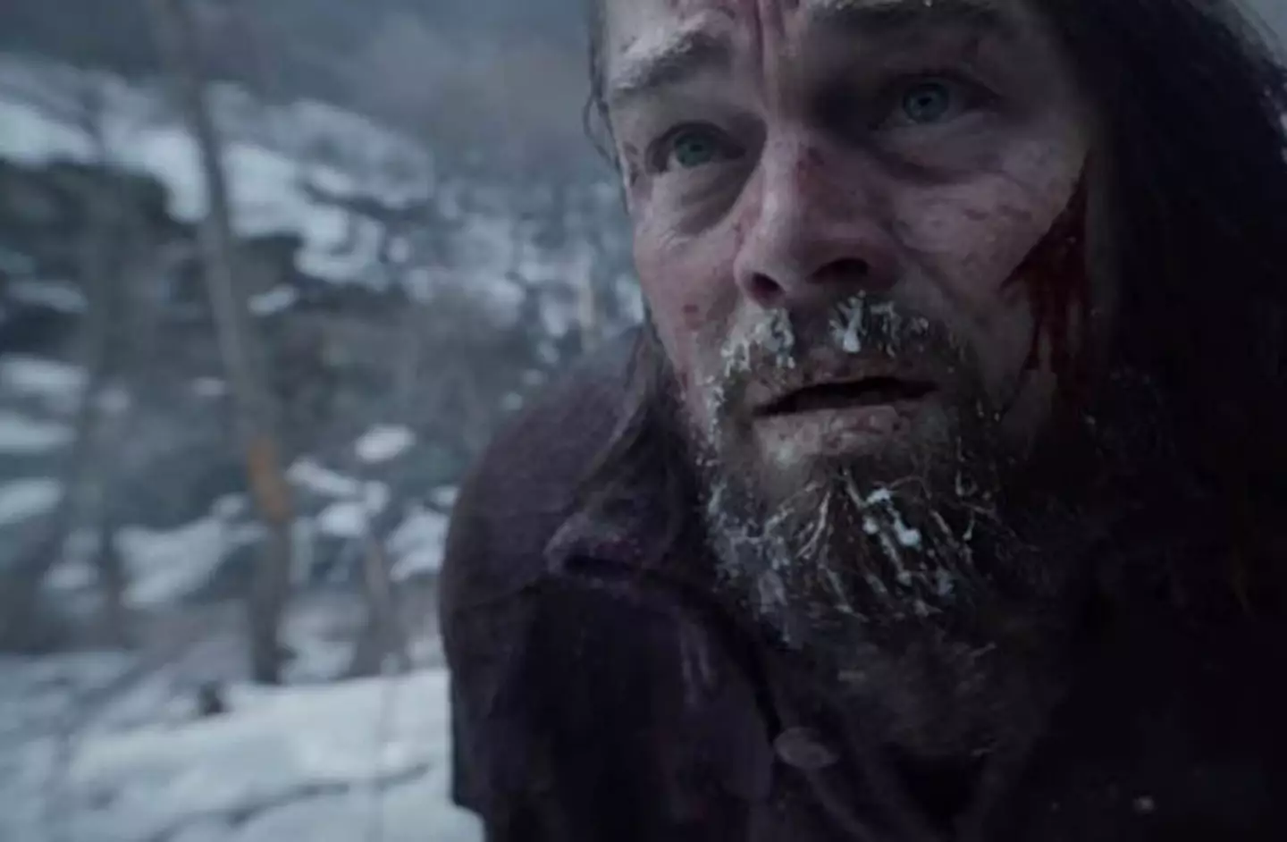 Leonardo DiCaprio won an Academy Award for his role in The Revenant.