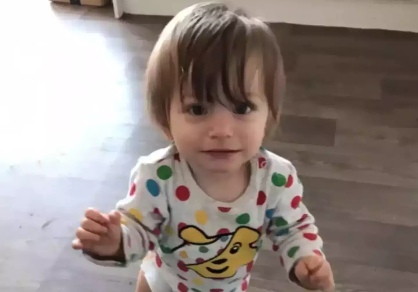 The toddler died of dehydration. (Facebook/Sarah Louise Piesse)