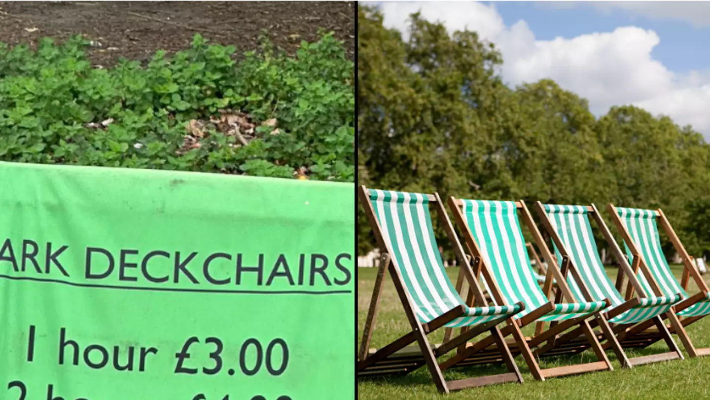 People realising England is ‘miserable’ after seeing prices to hire deckchair at park