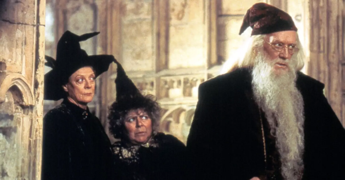 Richard had a wild lifestyle before his Harry Potter years.