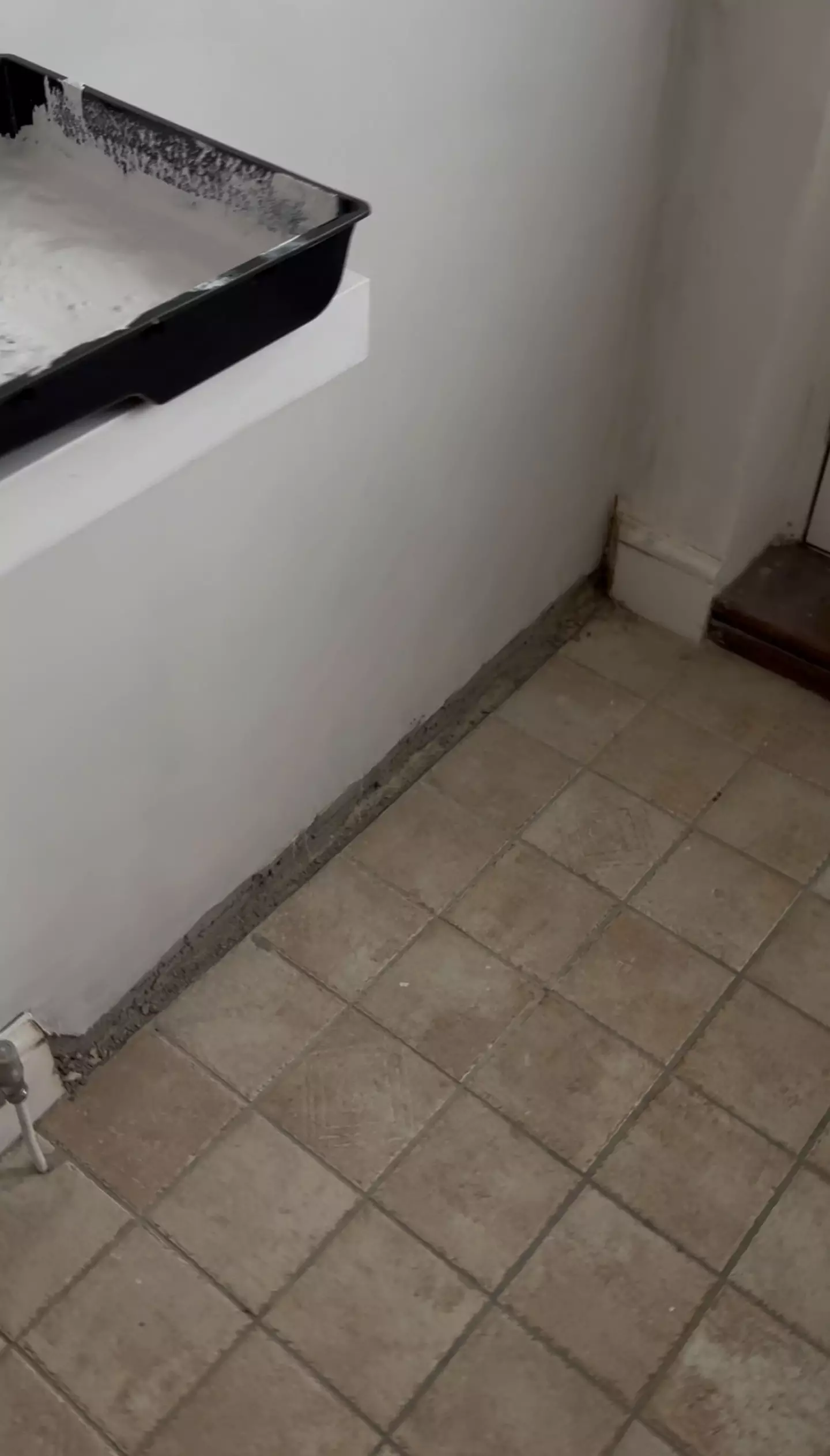 Elise said it was 'disgusting.' (Kennedy News and Media)