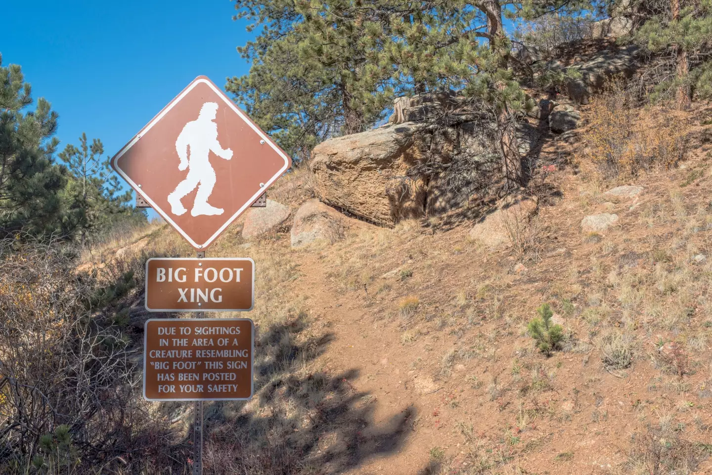 Some parts of the US even have signs to tell you when you're entering an area where Bigfoot has been sighted.