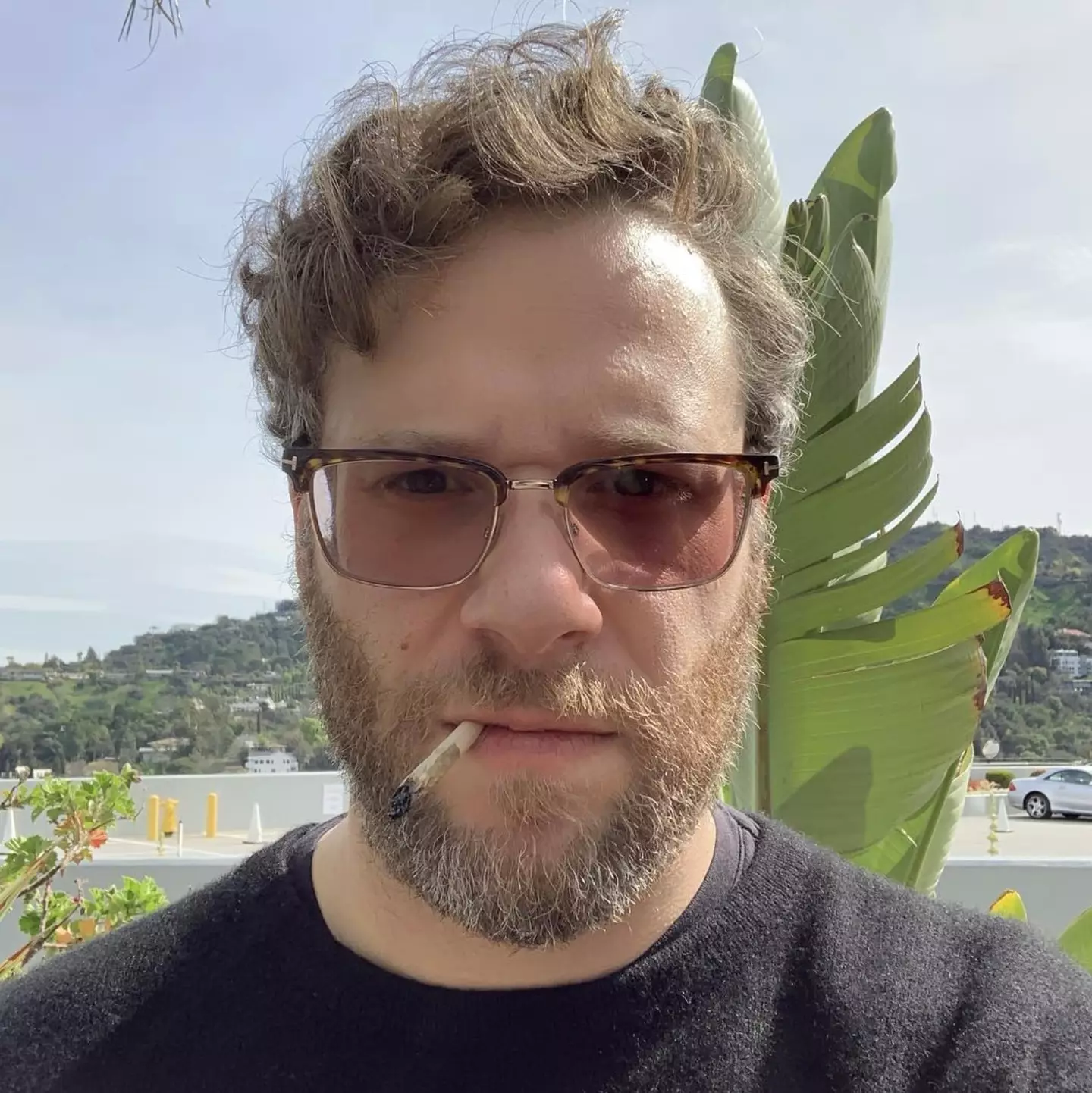 Seth Rogen says he smokes weed all day, every day.