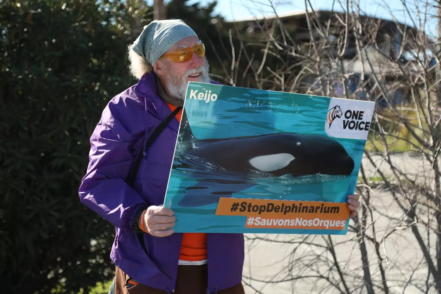 Animal rights advocates have raised concerns about how safe it is for the mother and son to remain trapped at Marineland, even if it is for the time being (Mohamad Salaheldin Abdelg Alsayed/Anadolu via Getty Images)