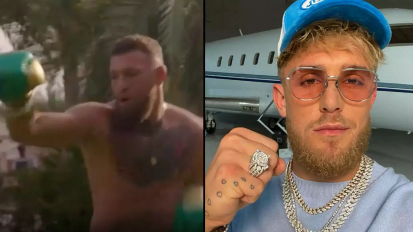 Jake Paul Rips Into Conor McGregor's Technique After UFC Star Posts Video