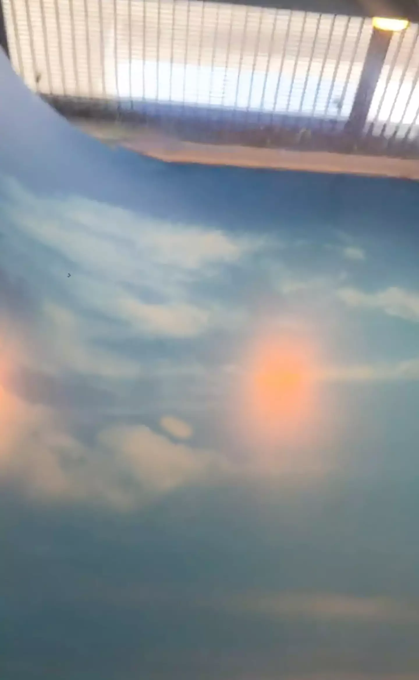 However Sonja soon discovered the seaside view wasn't genuine.