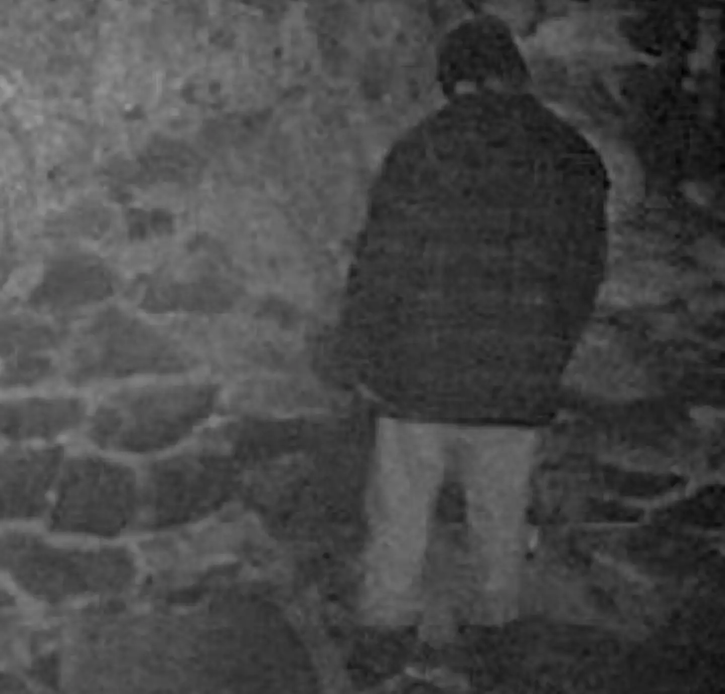 If you know, you know. (Lionsgate)