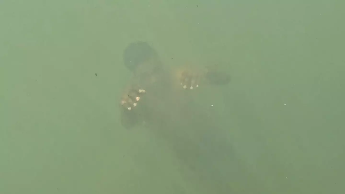 Shocking GoPro footage shows moment woman spots man drowning in waterfall before saving his life