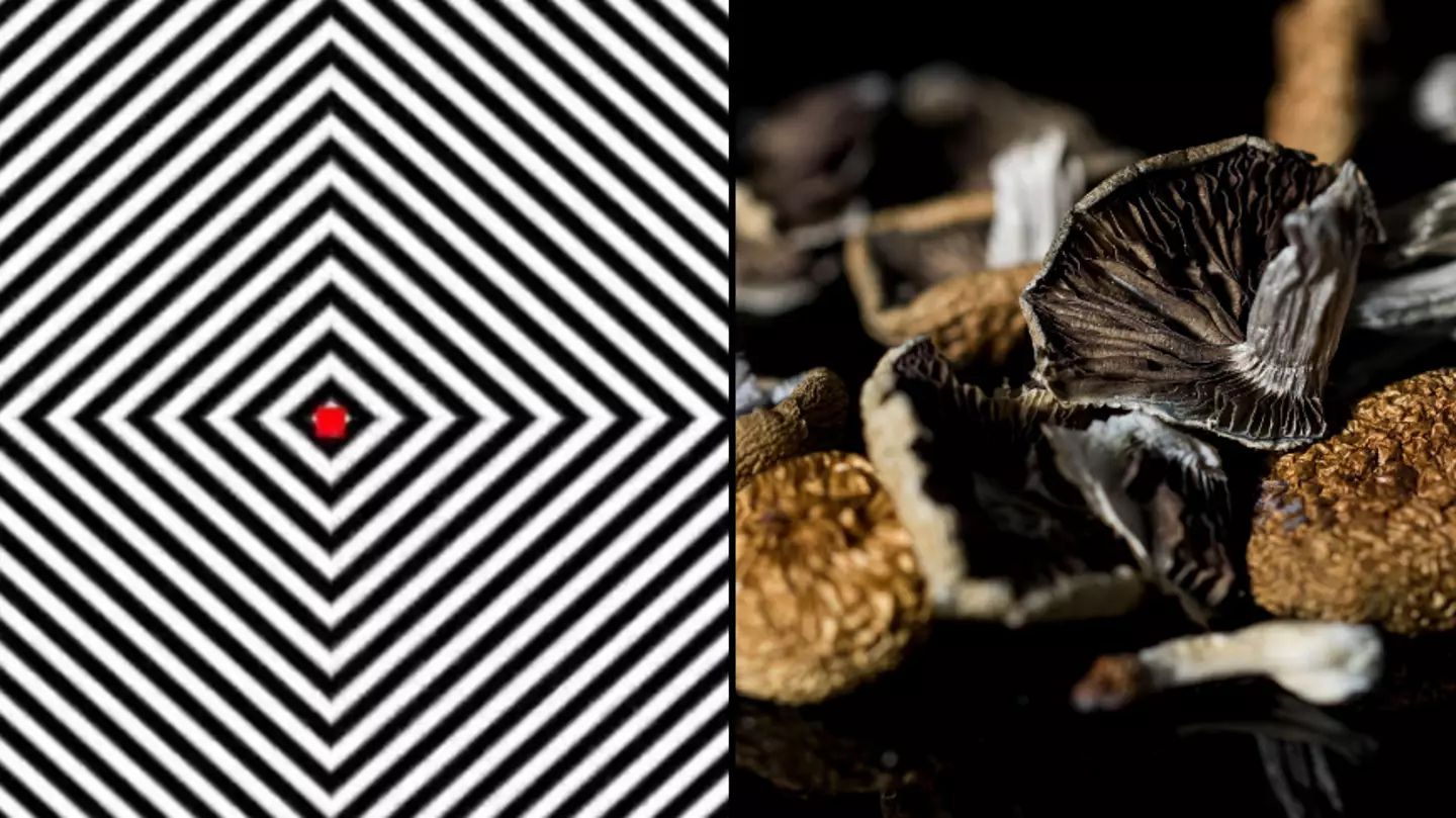 Insane optical illusion is 'literally identical' to taking psychedelics