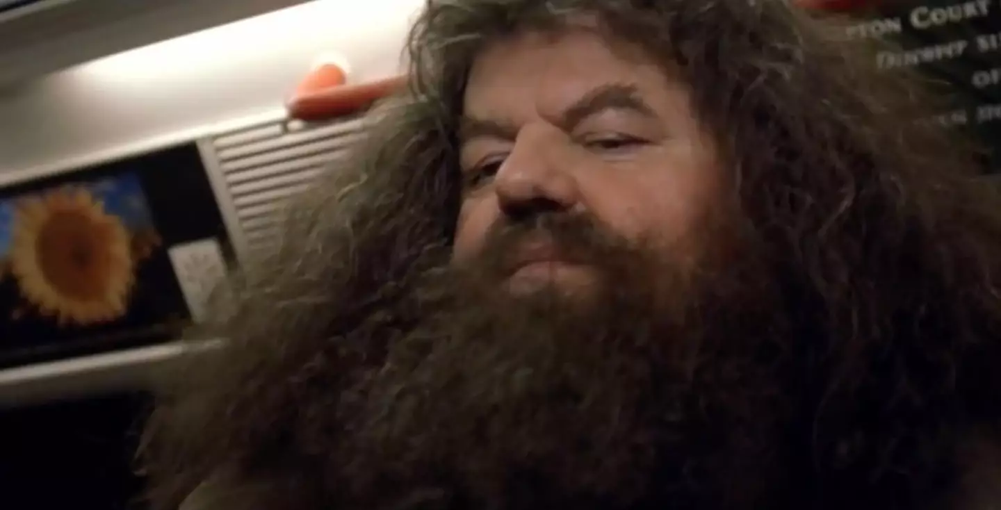 Hagrid. (Warner Bros)
