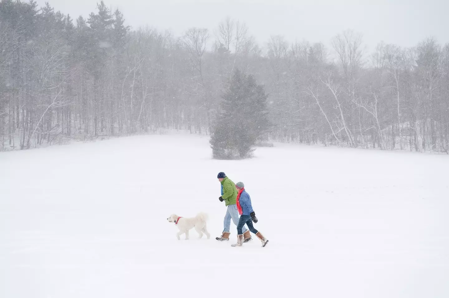 The Met Office has issued a yellow weather warning for ice and snow until Thursday (18 January).