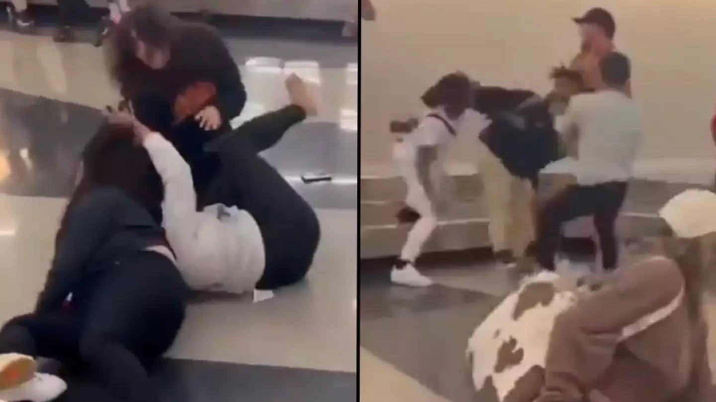 Twitter/@chicagocritter