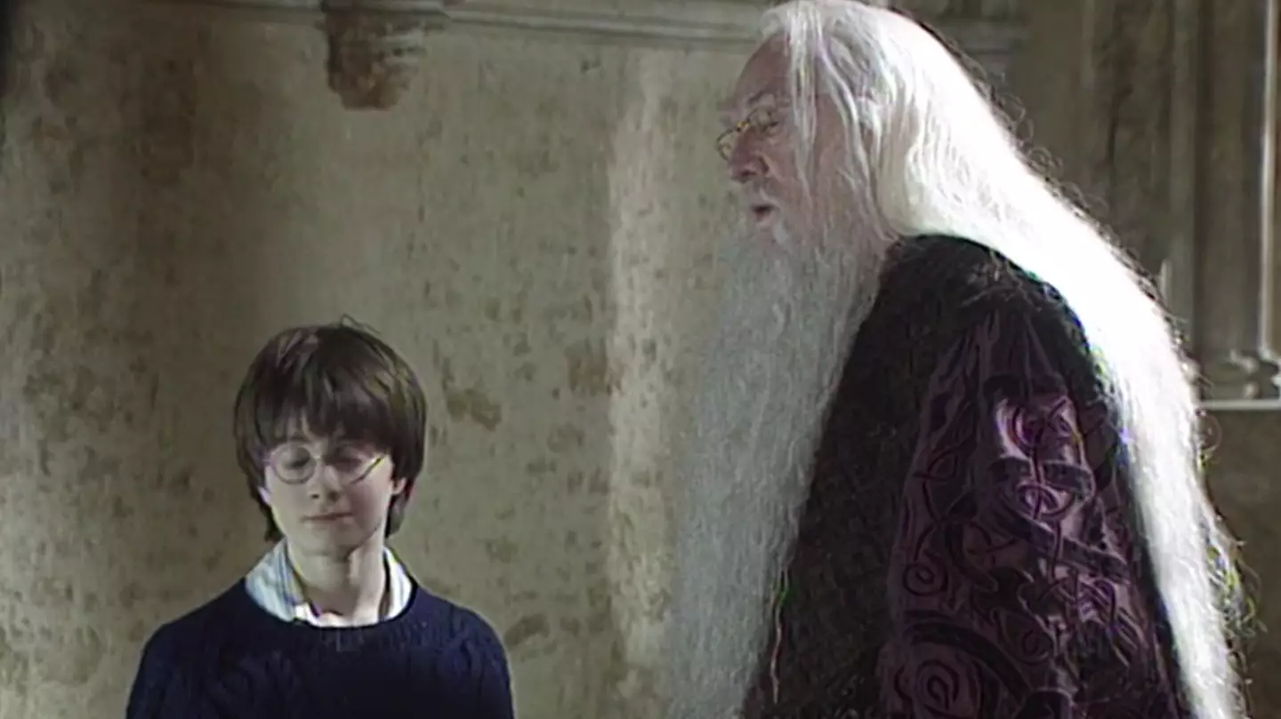 Return To Hogwarts Viewers 'In Tears' After Emotional Tribute To Late Harry Potter Stars