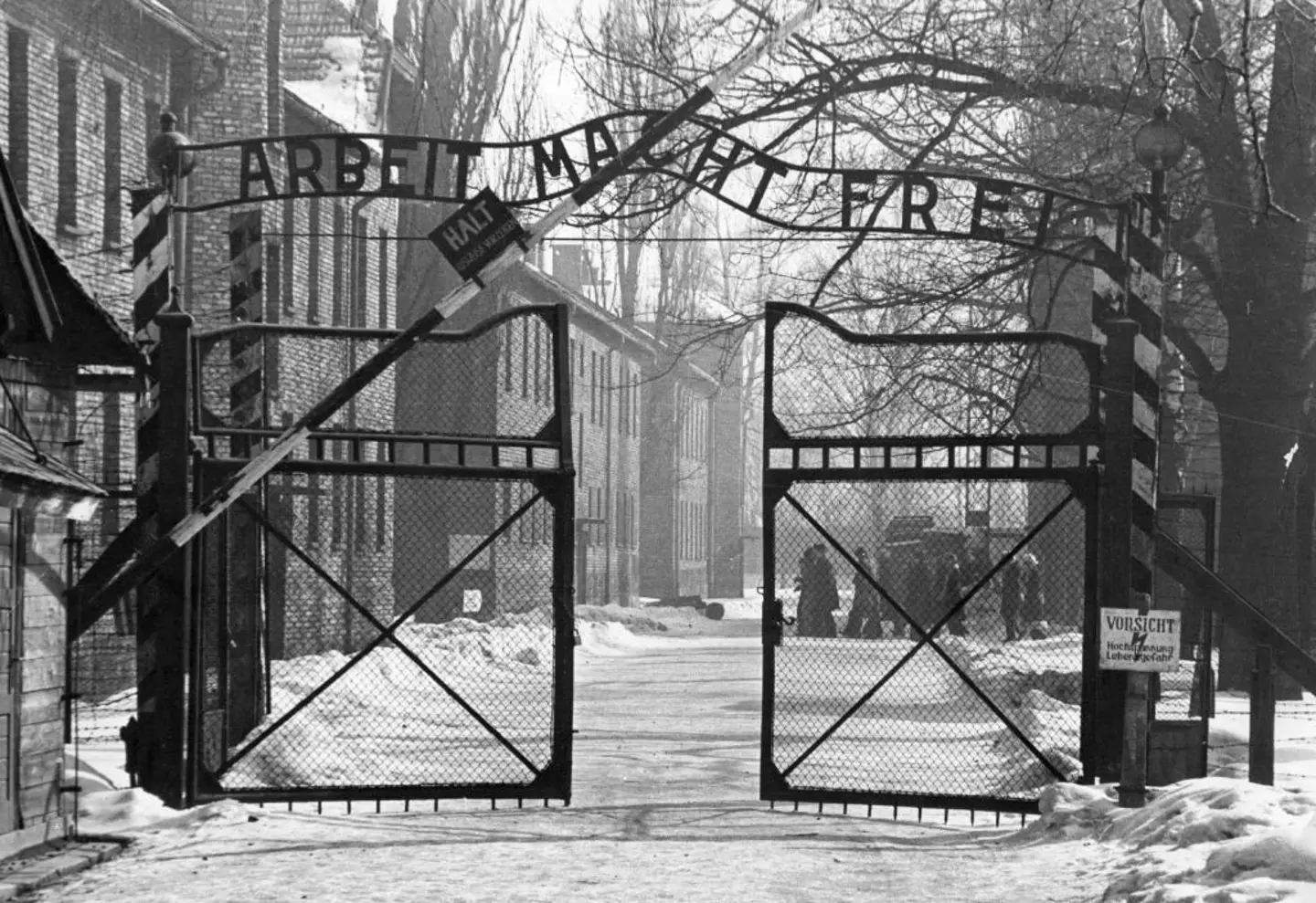 Visiting Auschwitz is a 'painful experience' for Mala (Keystone/Getty Images)