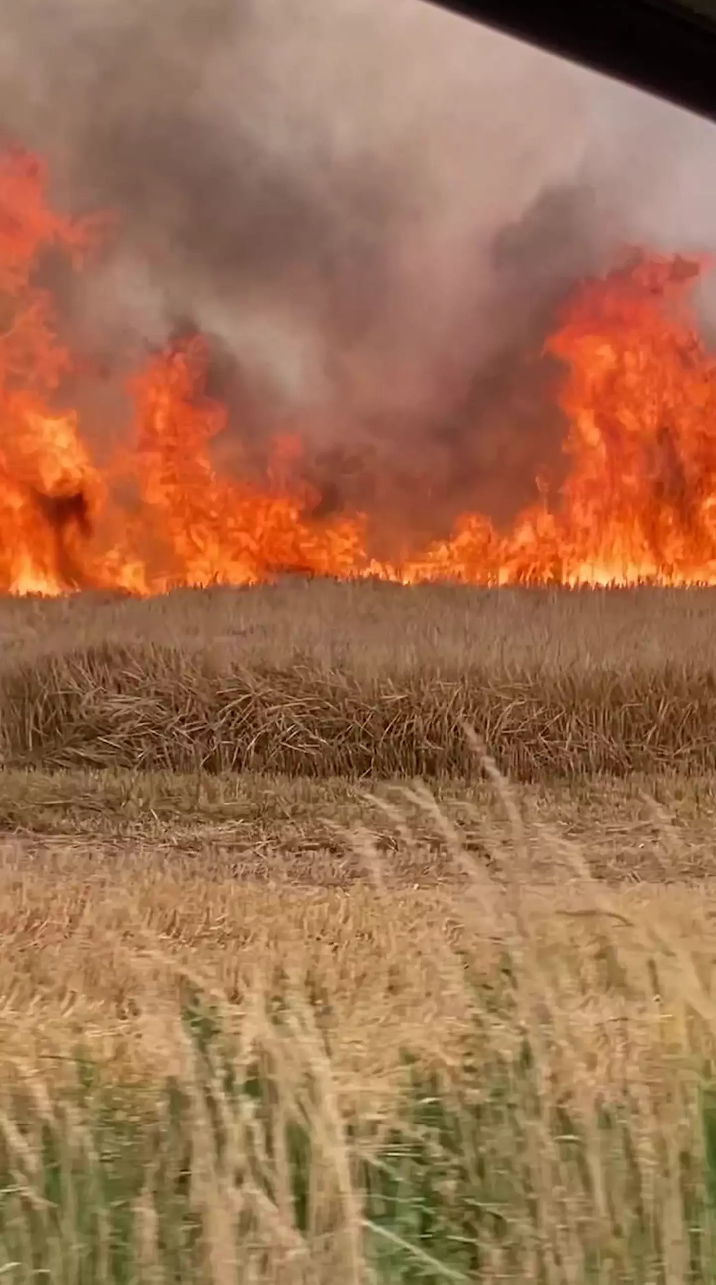 They said it felt like they were ‘stood by a bonfire’.