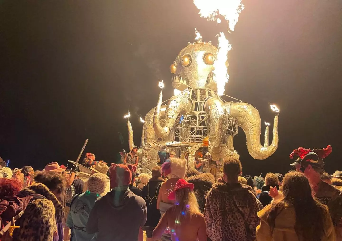 Burning Man is organised by non-profit Burning Man Project (JULIE JAMMOT/AFP via Getty Images)