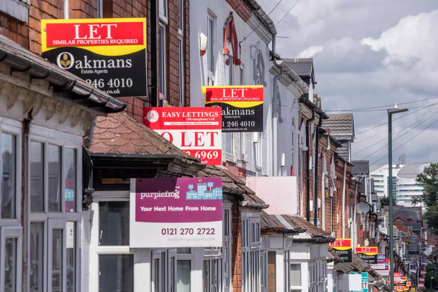 The rental landscape is already tough on tenants.