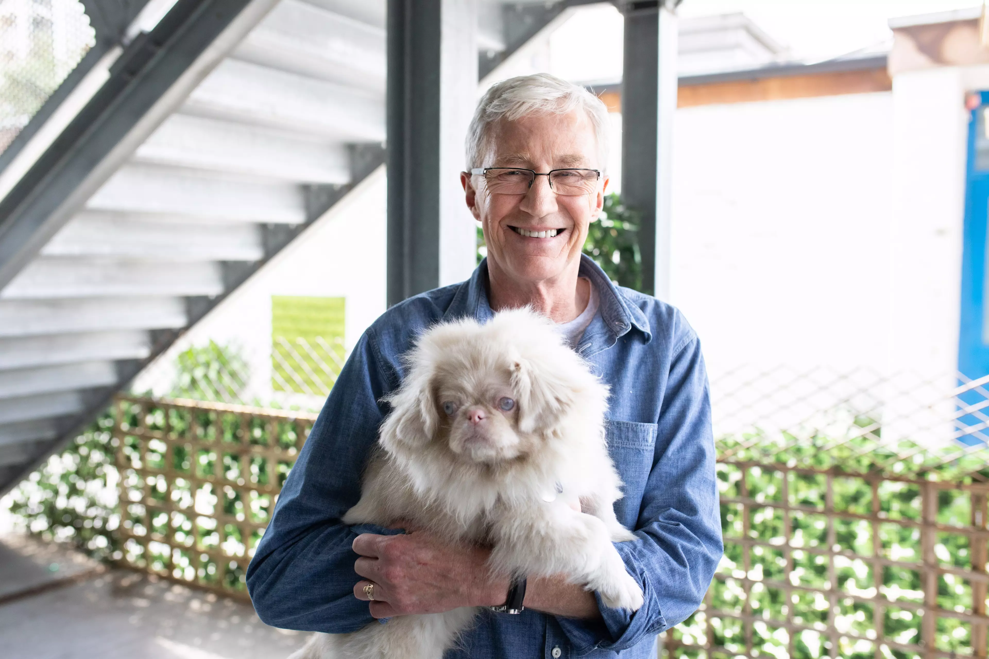Boo proves that beauty is only skin deep on Wednesday's 'Paul O'Grady: For the Love of Dogs'. (