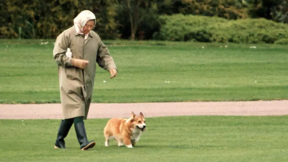 The Queen Left Heartbroken As Her Beloved Dog Passes Away