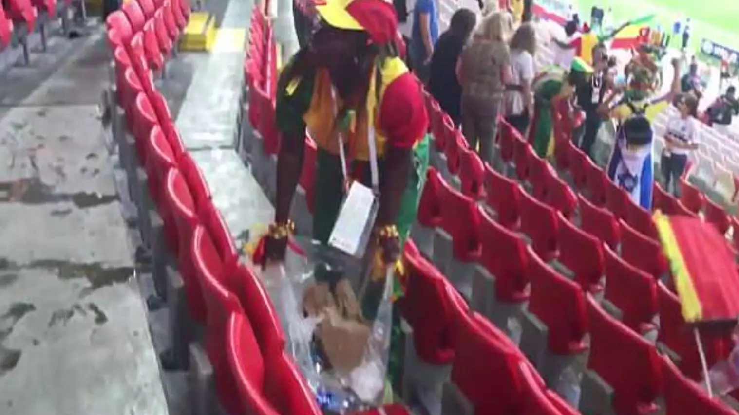 Senegalese and Japanese Fans Celebrate World Cup Wins By Cleaning The Stadium