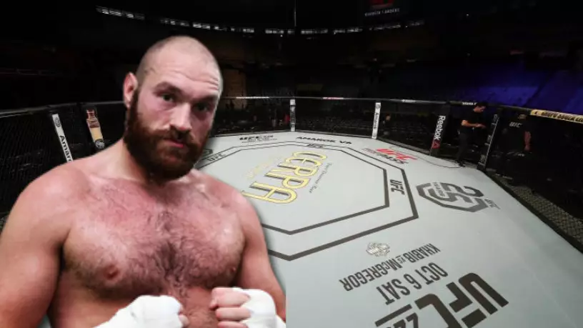 Tyson Fury Plans To Make His MMA Debut This Year 