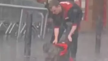 Iceland Employees Give Coat To Dog Caught In Torrential Rain Outside Store